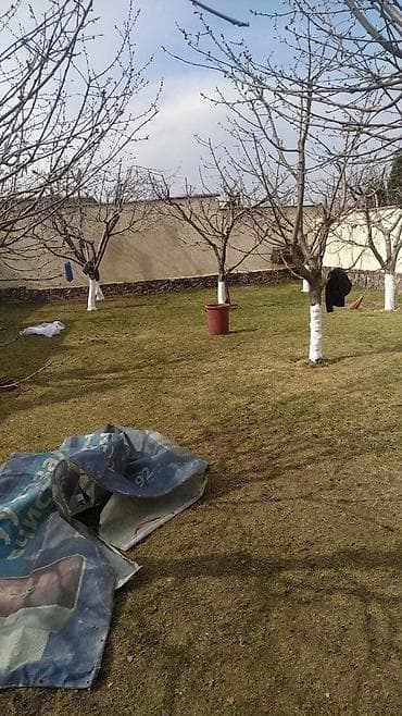 Уборка помещений: Уборка территории, Уборка двора и сада — 6