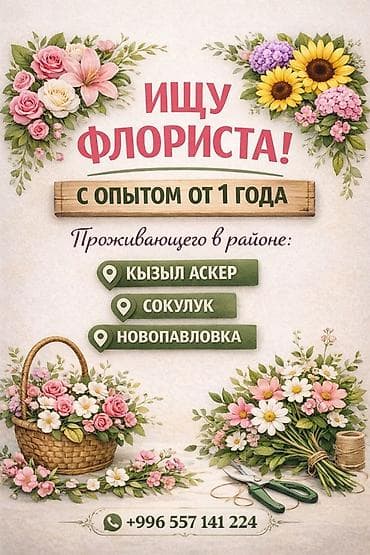 Оформитель at lalafo.kg Оформитель