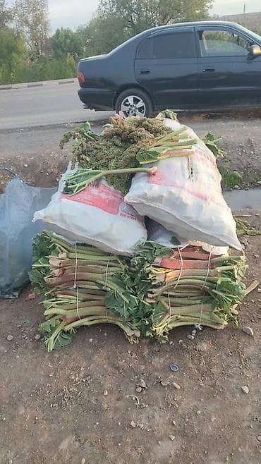 кисея: Чукуру Бишкек ВОТСАП ЖАЗГЫЛА! Чалбагыла Самовывоз кожзавод широкая дом — 1