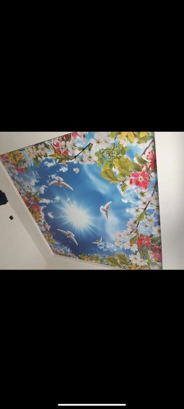 швабра для потолка: Натяжной потолок Глянцевое, Матовое, 3D потолки Гарантия, Бесплатная консультация, Бесплатный замер — 8