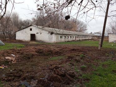 продаю дом шербакова: 77 соток, Электричество, Скважина, Холодная вода — 1