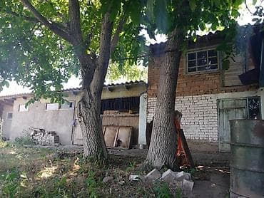 Продаётся дом в районе. Кемин г. Орловка ул. Калинина 37 Имеется at lalafo.kg Продаётся дом в районе. Кемин г. Орловка ул. Калинина 37 Имеется