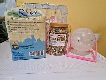 животные хомяк: Клетка для хомяка Dayang Pet Products с оборудованием В подарок — 1