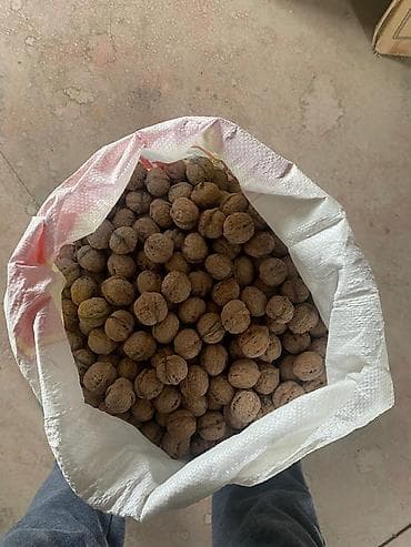 Грецкий орех продаю хороший вкусный ни какой химий