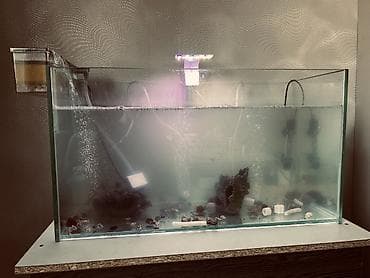 рыбки в аквариум купить: Аквариумный комплект для домашних рыб Состав и характеристики: - — 1