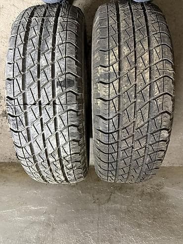 205 65 16 с: Шины 245 / 70 / R 16, Всесезонная, Пара, Внедорожные (АТ/МТ), GoodYear — 2