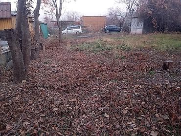 5 соток, Курулуш — 6