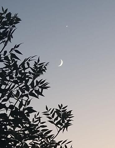 луна купить: Постер/фотопечать «Молодой месяц на вечернем небе» - Атмосферный — 1