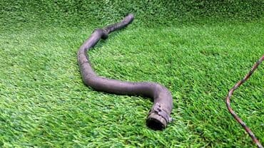 блок предохранителей: Шланг (подводка) BMW 2008 г., Б/у, Оригинал, Германия — 1