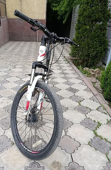 рама газон: Горный велосипед, Galaxy, Рама M (156 - 178 см), Алюминий — 4