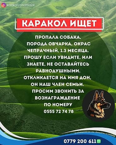 бу даром: Потеряли друга!!! — 1