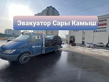 С лебедкой, С прямой платформой