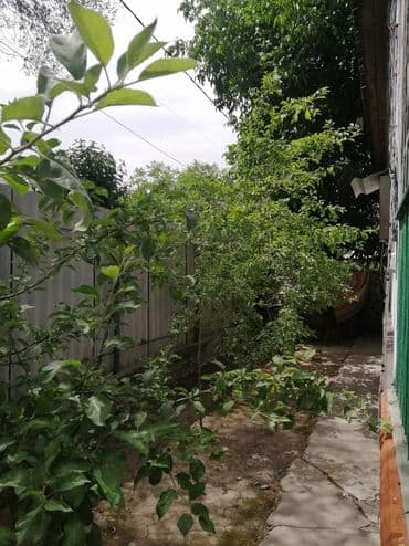 купить дом в новопавловке бишкек: Дом, 73 м², 4 комнаты, Собственник, Косметический ремонт — 3