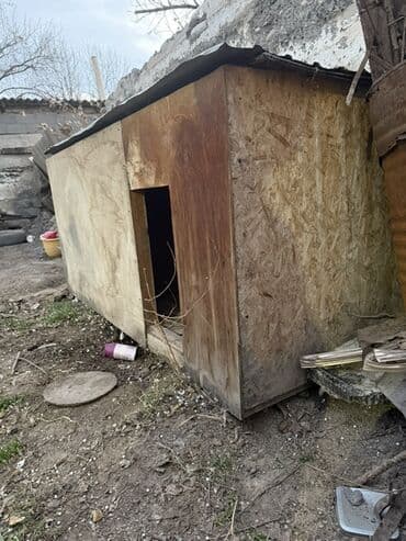 ХДФ: Будка для собаки из плит OSB/фанеры - Просторная будка прямоугольной — 1