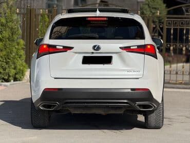 шины r16c: Lexus NX: 2019 г., Автомат, Кроссовер — 6