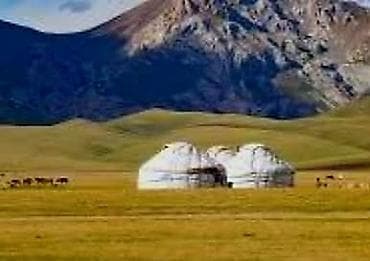 Кызматтар: Арендага боз үй берилет Кырчын жайлоосуна көчмөндөр оюнуна карата — 1