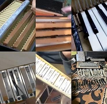 ремонт самакат: Ремонт и настройка баянов/аккордеонов - Полный сервис: диагностика — 1