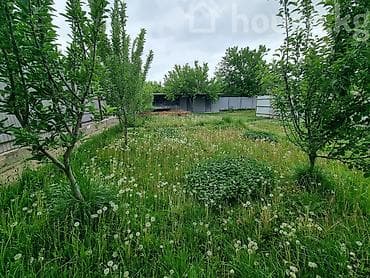 на трассе: 9 соток, Красная книга — 10