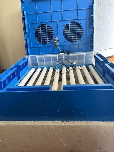 Инкубатор для яиц, пластиковый, горизонтальный - Вместимость: лоток с