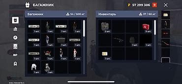 продать брейнрот: Имущество 70.000.000 баланс 57.000.000 крузак 5.000.000 аксы — 4