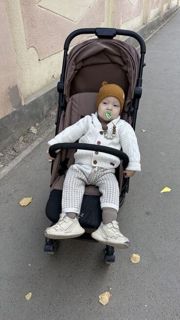 диск на велосипед: Коляска, цвет - Коричневый — 5