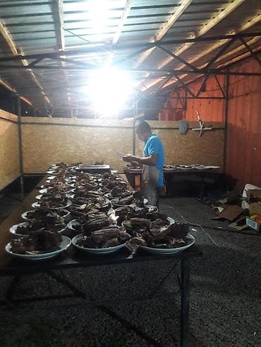 касапчы сокулук: Касапчы Бишкек шаар ичи жана сырты уй жылкы кой топоз ж.б сойуп — 3