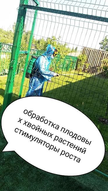 Профессиональная обработка сада и хвойных растений - Комплексные at lalafo.kg Профессиональная обработка сада и хвойных растений - Комплексные