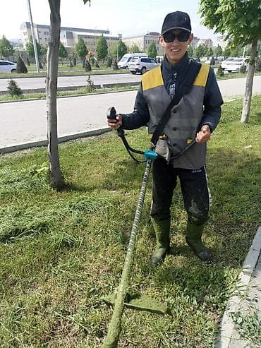 Услуги: Уборка территории, Стрижка газона — 1