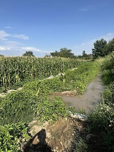 Продажа участков: 420 соток, Для сельского хозяйства — 6