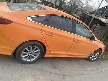 сетка для радиатора: Hyundai Sonata: 2019 г., 2 л, Автомат, Бензин, Седан — 4