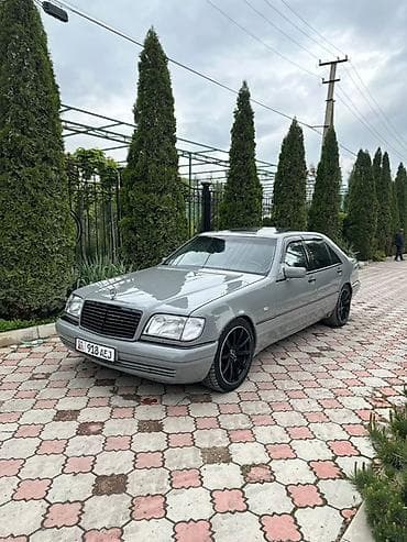 Mercedes-Benz S-Class: 1996 г., 5 л, Автомат, Бензин, Седан