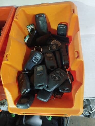 Бала бакчалар, бала багуучулар: Компьютердик диагностика, Автоунаа системаларын жөнгө салуу, адаптациялоо, баруу менен — 11