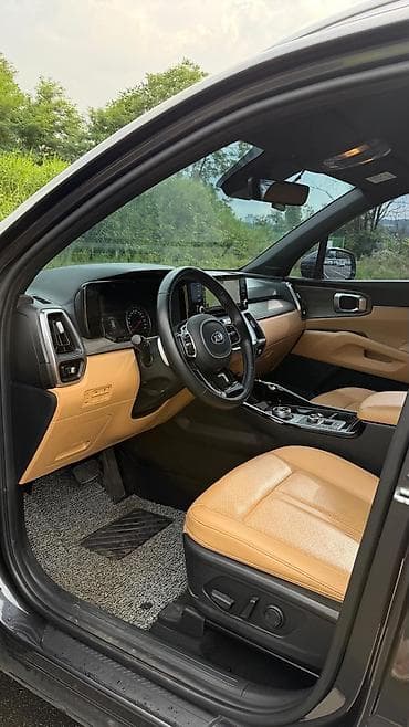 6: Kia Sorento: 2021 г., 1.6 л, Автомат, Электромобиль, Кроссовер — 8