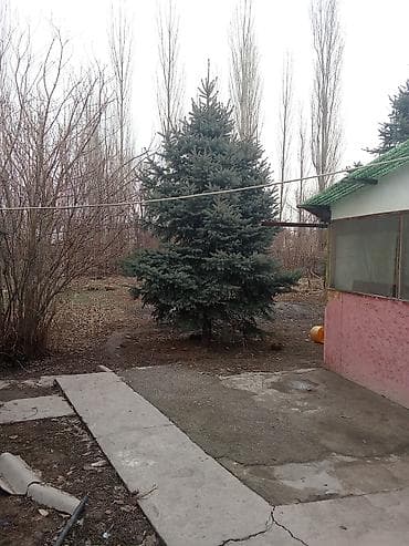 Ашкана буюмдары: Дом с двором и капитальным забором из профлиста - Отдельно стоящий — 7