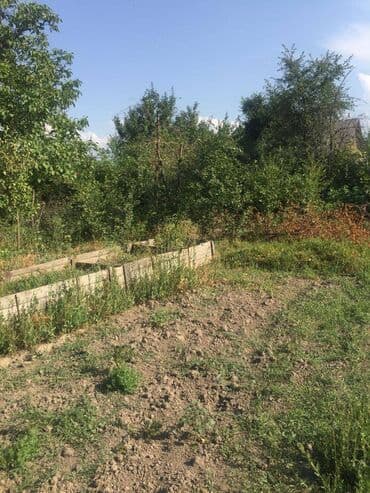 дом на иссык куле купить: 7 соток, Для строительства, Красная книга — 4