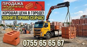 Брусчатка, тротуарная плитка: Пустотелый, дырчатый, Жженый кирпич, Полублок, 250×120×90 — 1