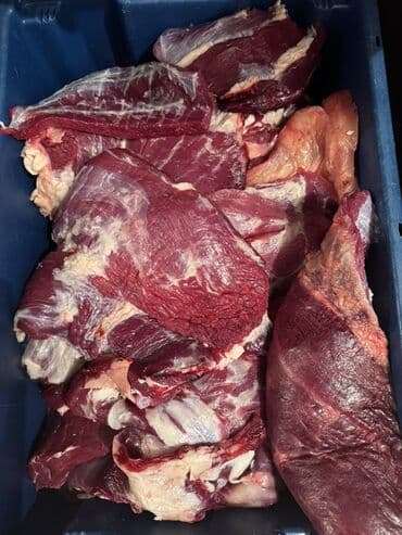 мясо в бишкеке цена: Говядина : Филе, Более 10 кг, Бесплатная доставка — 6