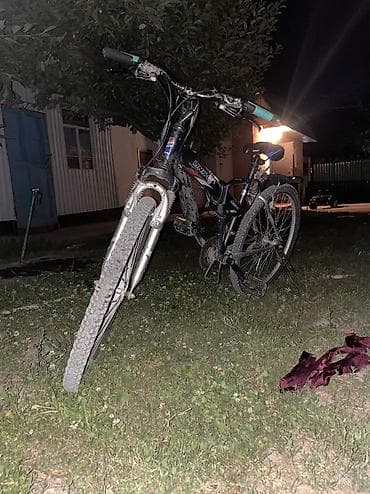 Велосипеддер: Өспүрүм балдар үчүн велосипед, Колдонулган — 2