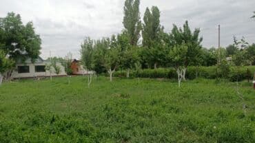 дачный дом формата: Дом, 300 м², 9 комнат, Агентство недвижимости, Евроремонт — 31