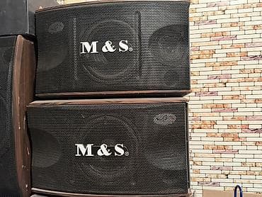 Пара акустических систем M&S - Тип: пассивные широкополосные
