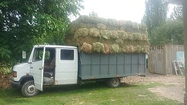 mini coper: Грузовик, Mercedes-Benz, Дубль, 5 т, Новый — 4