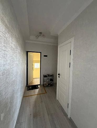 1 комната, 45 м², Старый аэропорт 106 серия улучшенная, 4 этаж, Евроремонт — 4