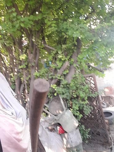 аренда утюг: Продается кругляк в хорошем состоянии 7 шт больших и 4 железные — 6