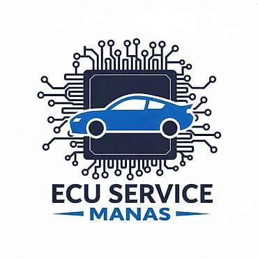 ремонт авто мотор: ECU SERVICE MANAS — профессиональные услуги по электронным системам — 1