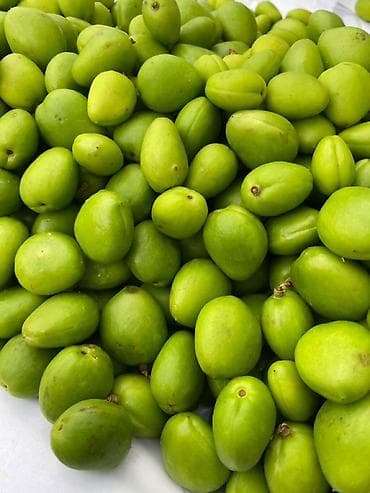 слива фрукты: Зелёные недозрелые манго (кормовые/для кухонь и заготовок) - Сорт — 1