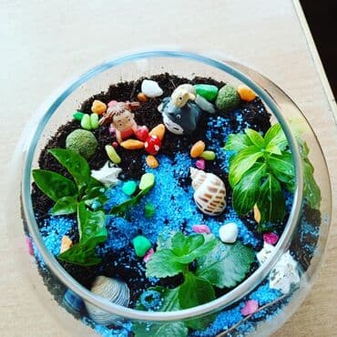 купить аквариум для рыбок недорого: Флорариумы на заказ. Идеальный и необычный подарок. Хотите удивить — 1