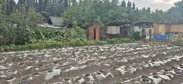 дома в селе луговом: Дом, 55 м², 3 комнаты, Собственник, Евроремонт — 8