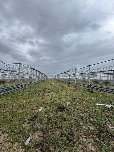 б у фермы: Сдам в аренду ангары между аэропортом и новым ошским рынком, так же — 3