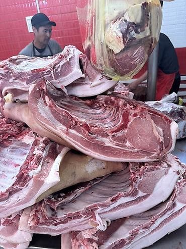 мясо продажа: СВИНИНА

猪肉。家养猪肉，非常美味。每天都有新鲜猪肉供应。

现有以下部位：
	•	后腿肉
	•	前腿肉
	•	猪排和排骨
	•	五 — 8
