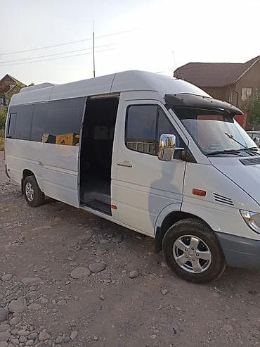 mini printer: Mercedes-Benz Sprinter пассажирский микроавтобус. Год-2004 — 3